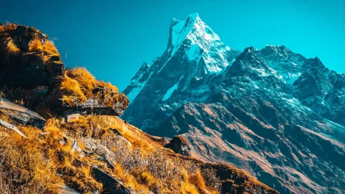 6 Days Mardi Himal Trek Itinerary - Best Short Trek from Pokhara